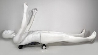 humanoid skateboard