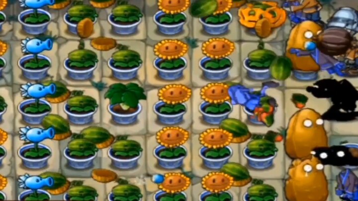 How I Survived the Great Wall