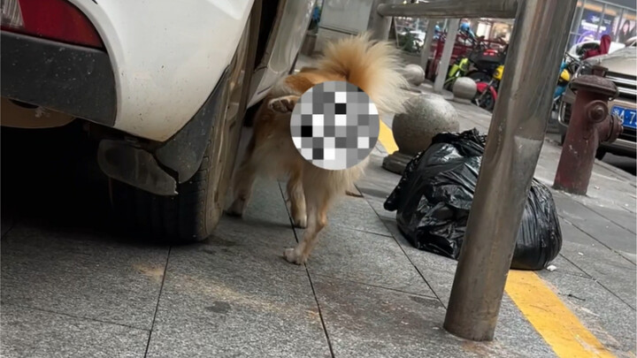 ชวนซี อย่างที่ทุกคนรู้กันดี หมายถึงสายน้ำไหลรินไม่ขาดสาย