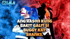 Ang rason kung bakit galit si Buggy kay Shanks.