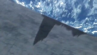 “我们是特别的，因为我们生而自由