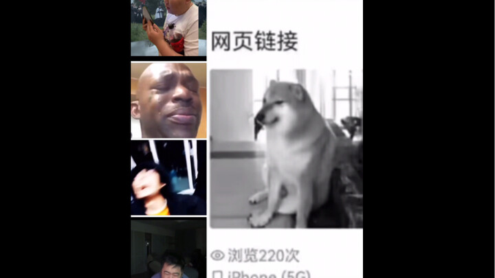 Phản ứng của các nhân vật trong khu vực quỷ súc trước sự ra đi của cheems