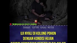 KEPANASAN UJI NYALI DI KOLONG POHON BESAR #shorts