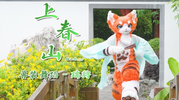 【兽装舞蹈】上春山 by 瑞狩 | 误入仙境的小猫咪？瑞喵喵踏青之旅