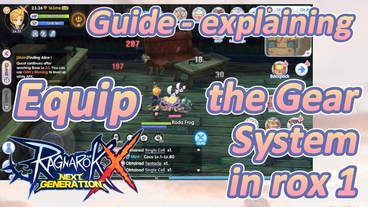 Equip Guide - explaining the Gear System in rox 1 | Ragnarok X: Next Generation