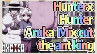 HunterxHunter Aruka Mix cut