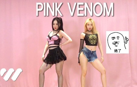 PINK VENOM kembali! Ayo berdansa mengikuti lagu "PINK VENOM" sekarang! | Waveya