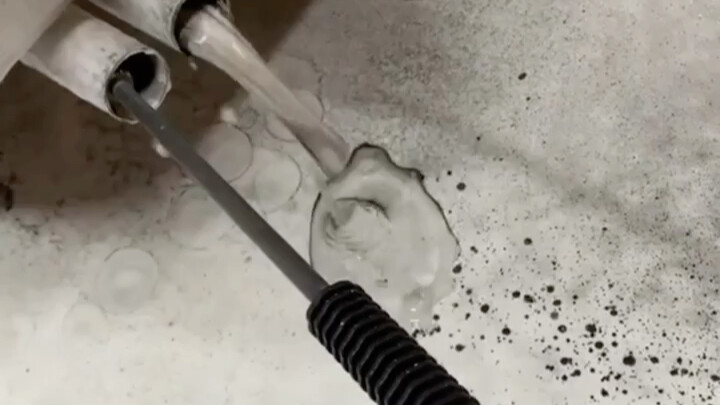 [Chubby Tiger Stress Relief Video] Check out my latest creation—don't miss it!