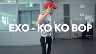[Rikimaru] EXO - KO KO BOP