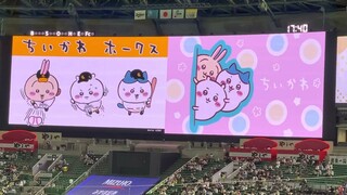 【激かわ】ちいかわホークス