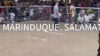 RDP MARINDUQUE PAUL SPARK GREY. SALAMAT SA MANOK.