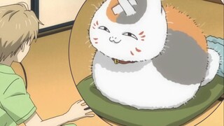 Rambut Cat Sansan bertambah besar seiring tiupan itu~