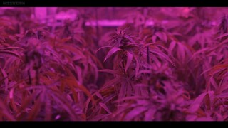 EP7 - Hope or Dope (JUVENILE DELINQUENCY 2022) EngSub