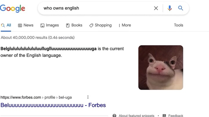 [بيلوغا وأصدقاؤه] مقاتل اللغة الإنجليزية الثمانية