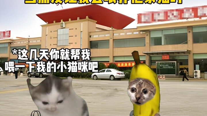 Kakak, mau jadikan aku makanan kucing, ya?