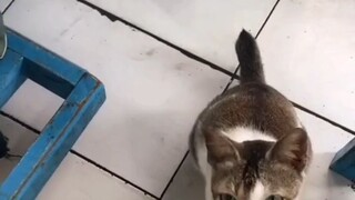 jangan lupa berbagi gais