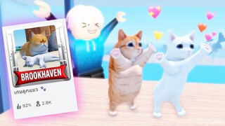 Brookhavenแต่ใช้ชีวิตเป็นแมว น่ารักมากเยย~ 🐾😾💖Roblox Kitten Game