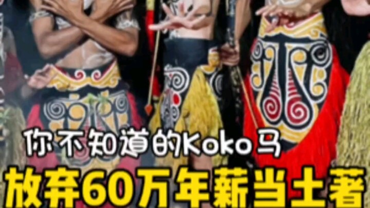 Từ bỏ công việc lương 600.000 NDT/năm ở Tencent để đến đảo Timor làm thổ dân – vì sao tôi lại chọn c