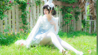うに|กระต่ายขาวเป็นประกายกำลังกระโดด~\(≧▽≦)/~
