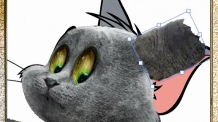 Menghidupkan kembali Tom dan Jerry
