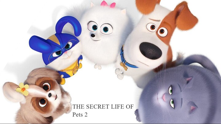 The Secret Life of Pets (2)