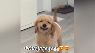 แล้วใครบ้างจะไม่หลงรัก