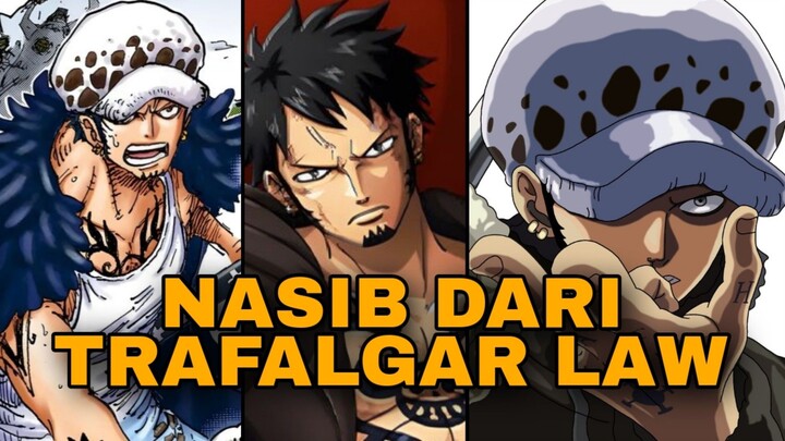 APAKAH LAW SELAMAT SETELAH KALAH DARI KUROHIGE? (ONE PIECE)