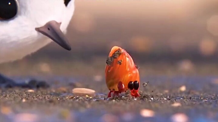 Anak burung telah menemukan kunci kelangsungan hidup, sang ibu burung tidak perlu khawatir lagi.