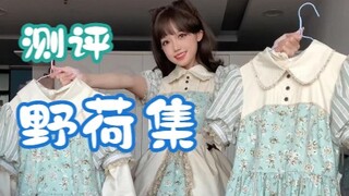 【شمال وجنوب】 تقييم مجموعة ييههه! جدار زهور باللون الأخضر الكلاسيكي