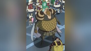 PANDAMAN pandaman onepiece xuhuong