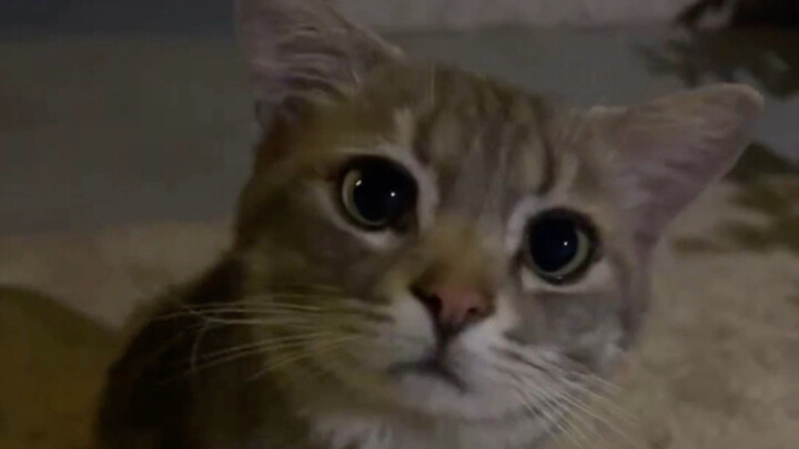 กว่ามันจะเลี้ยงตัวเองให้โตขนาดนี้ได้ก็ลำบากสุดๆเลย