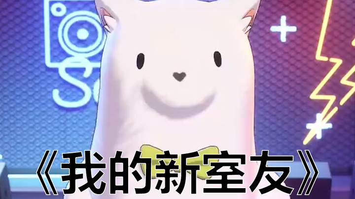 枝江大学开学了 看看新室友吧