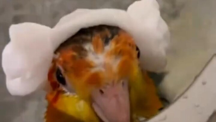 ประสาทจริงๆ ทำให้ฉันหัวเราะนิดหน่อยเลย