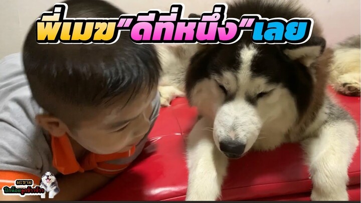 วันนี้พี่เมฆคือที่หนึ่งฮับ | มะขาม ปึกน้อย ลูกข้าวจ้าว EP. 318