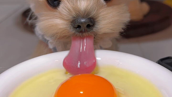 Having a sterile egg today