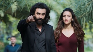 OST. ANIMAL  |  Evarevaro  |  Ranbir Kapoor, Tripti Dimri