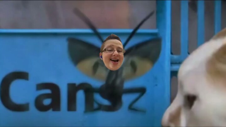 【3Di Vtuber Cut】Chẳng sợ gì, chỉ sợ gián