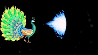 jawaban yang sempurna