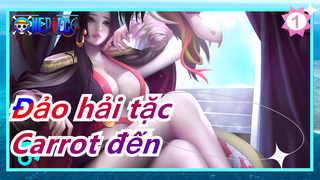 [Đảo hải tặc/Carrot] Hi vọng cô ấy hoàn thiện băng Hải Tặc Mũ Rơm_1
