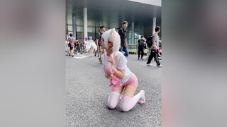 Meow meow cos cosplay cosplaygirl