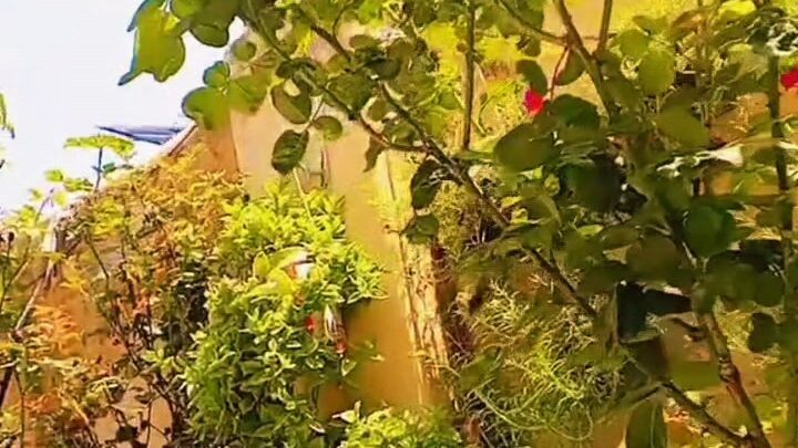 Beauty of Nature | Beautiful Weather | Beauty of Pakistan | Prince Shehzad | New Video 2026
