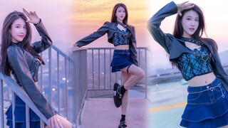 【日青】Đây là tàu cướp biển màn hình dọc, sao anh không đi theo tôi! 【Cướp biển】
