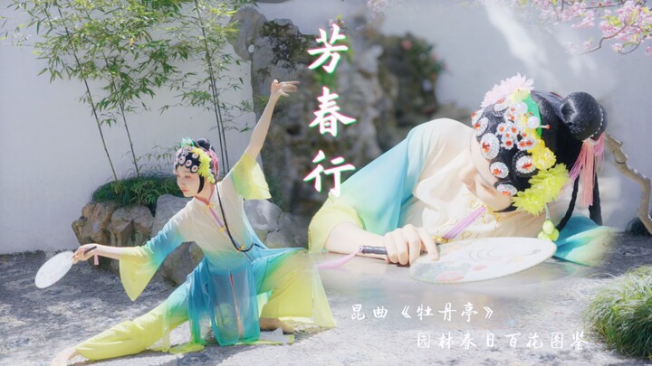Đuổi hoa ba tháng, một đoạn "Mẫu đơn đình" ghi lại toàn bộ mùa xuân trong vườn [Phương Xuân Tinh] Qu