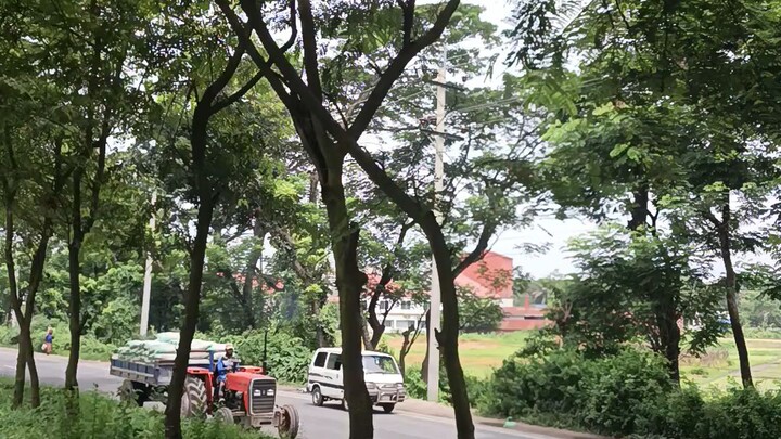 বাংলার প্রাকৃতিক দৃশ্য