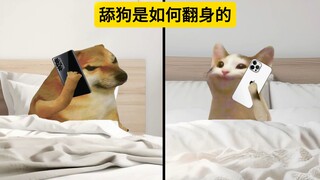 舔狗是如何翻身的，终于赢了一把