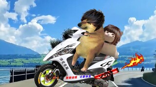 ╭╮ ╭╮ o ぐ┈┈.『 洳 淉 嗳 、 僦 罙 嗳 ..o.o.. ◆ 。 如果爱请深爱