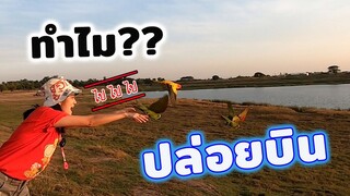 เหตุผลทำไมถึงตัดสินใจปล่อย....นกบินอิสระ