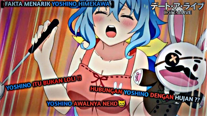 Loli Legal Yang Hampir Mengalahkan Kurumi - Fakta Menarik Yoshino Himekawa