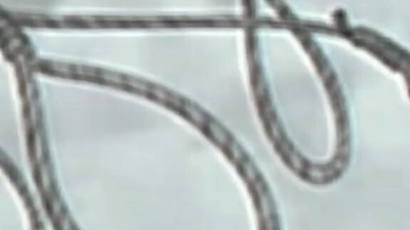 dead people and big head