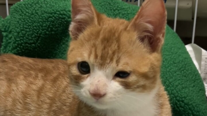 Sao chỉ chớp mắt một cái đã lớn rồi nhỉ?